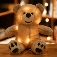 63f50cc6e6b46463ad0090a6_dropship-io-bear